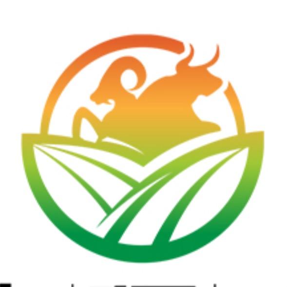 金疆盛品质好生活