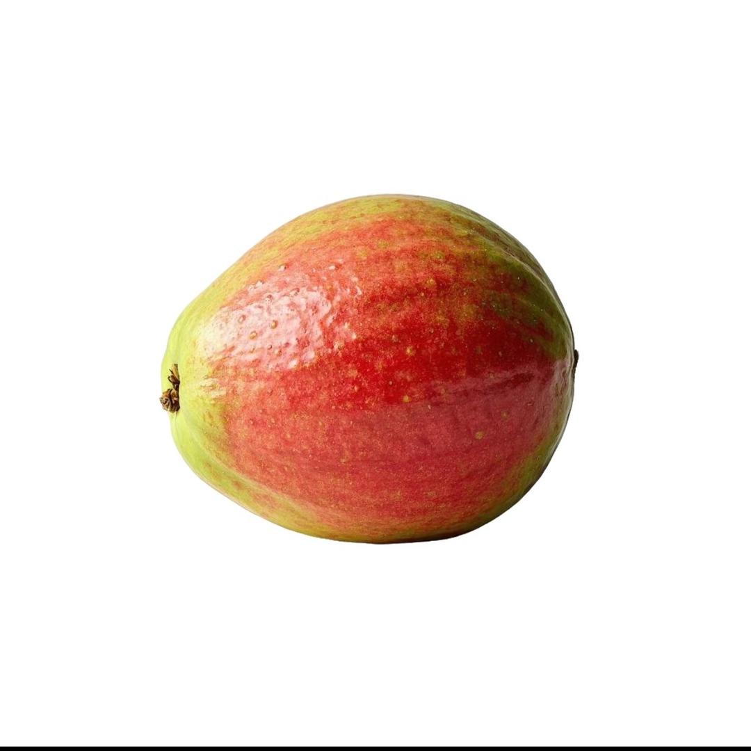 摇一尧（想瘦十斤）