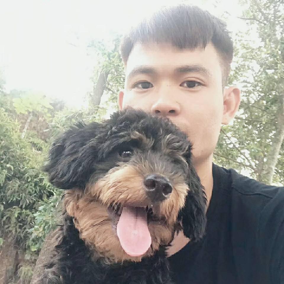 问鼎