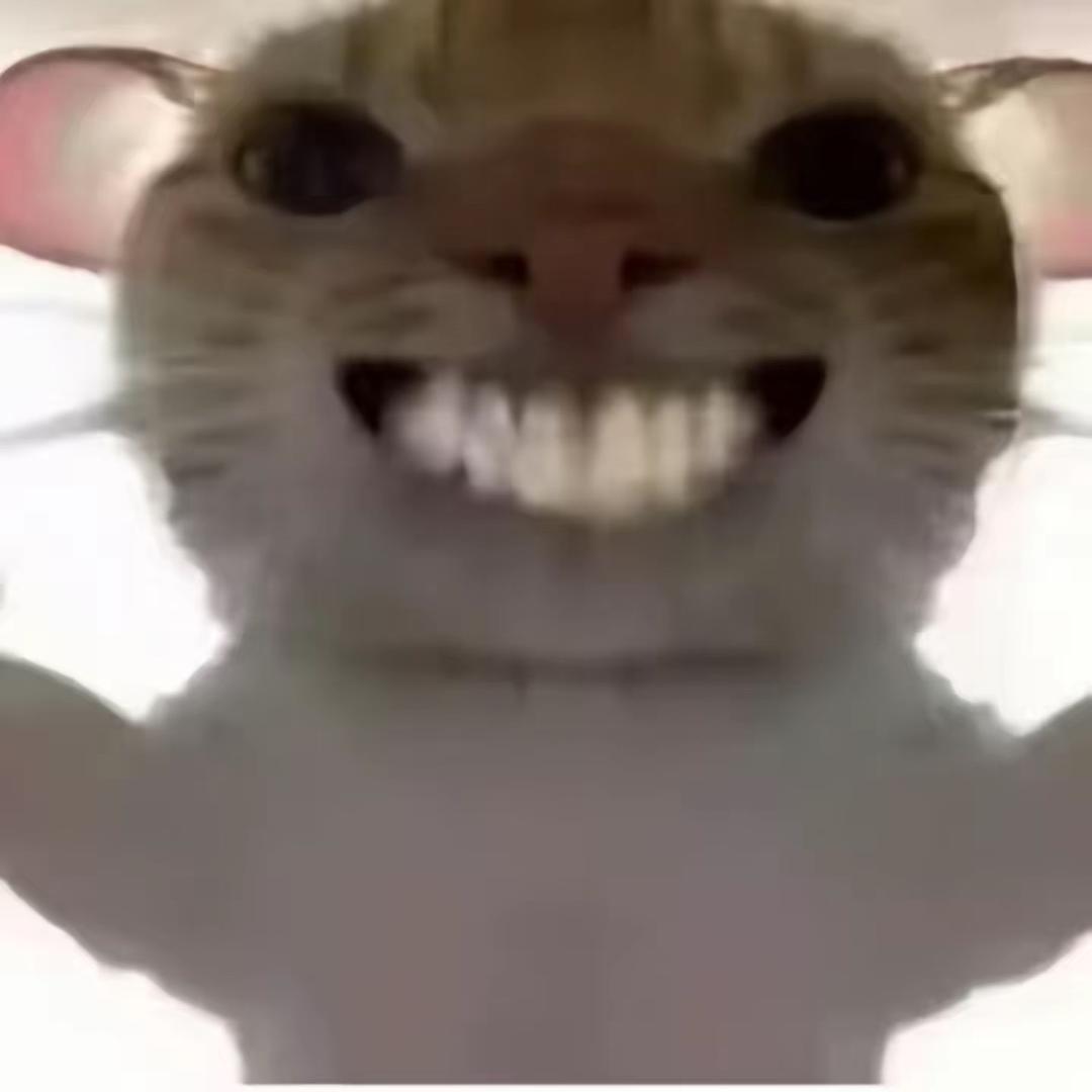 不cc（三角洲跑刀）