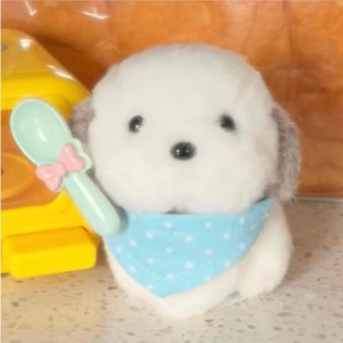 贝贝🧸