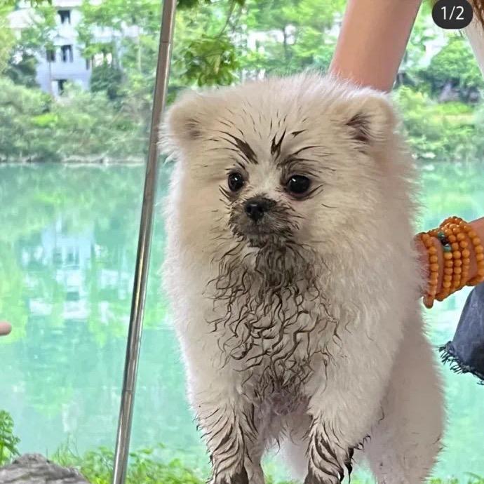 快乐观察员