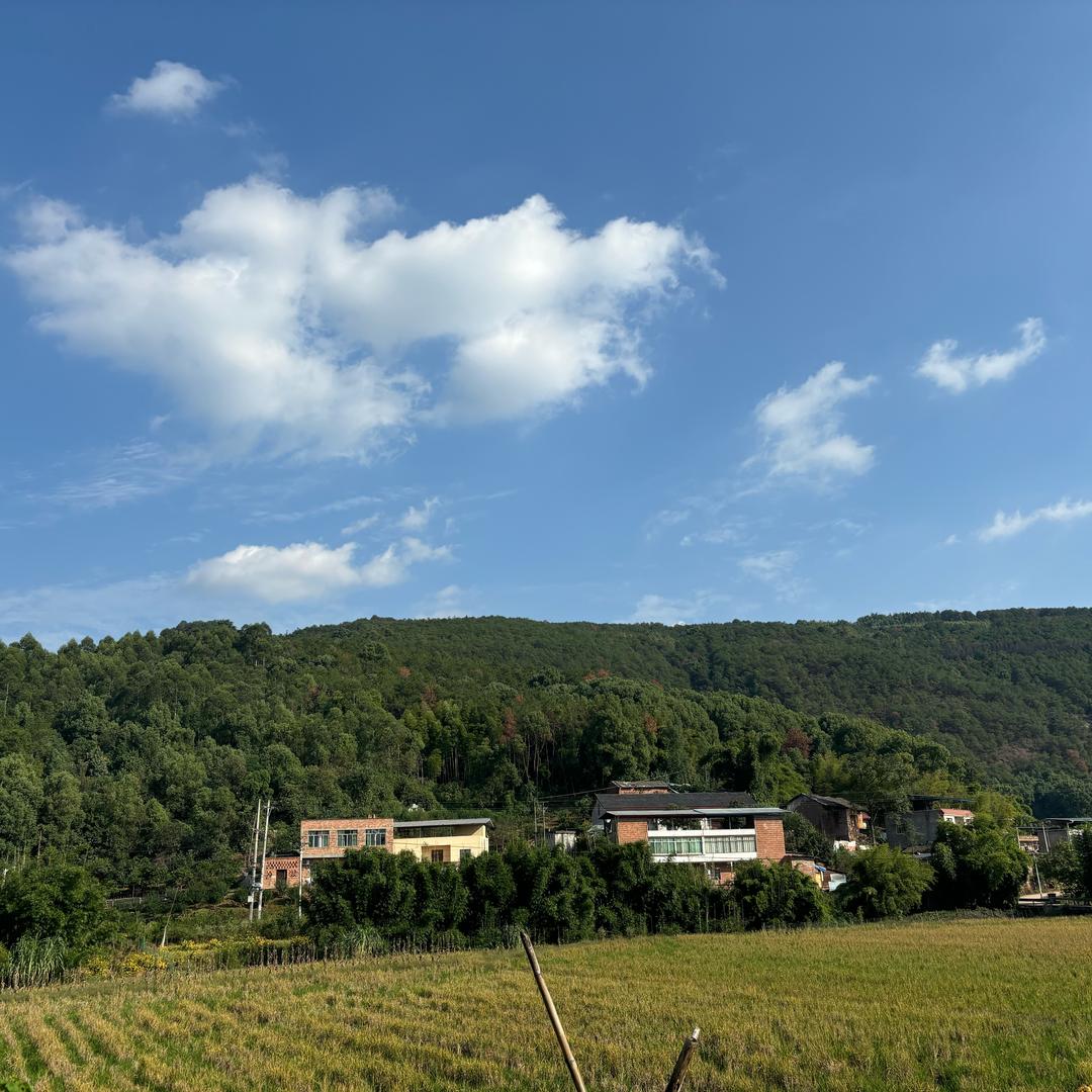 上山捡柴