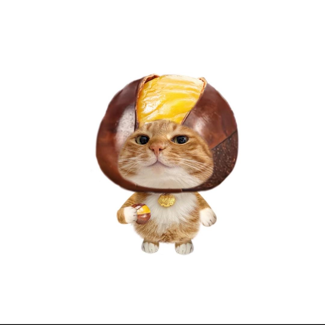 粥粥.