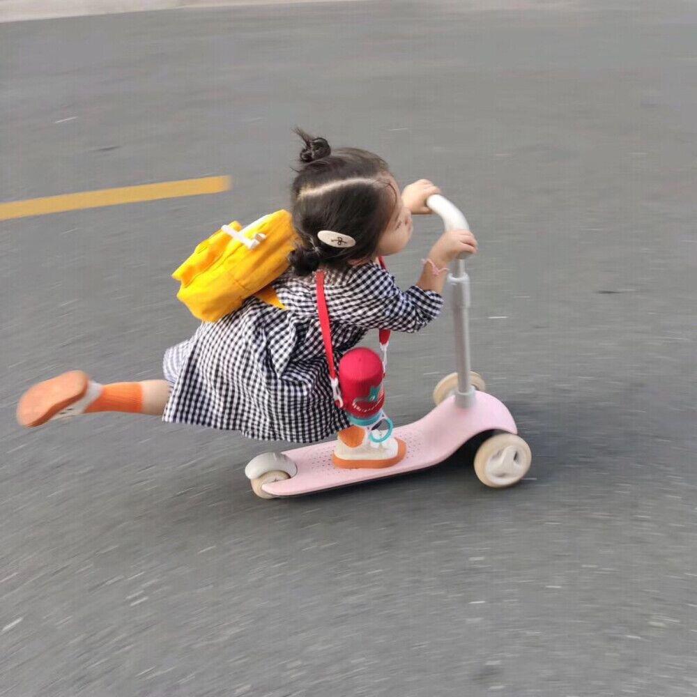 仙子狗尾巴花