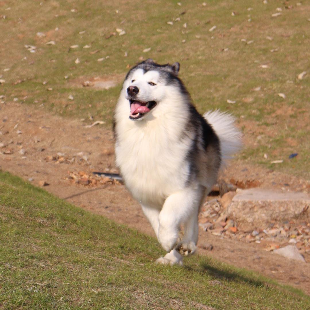 康少然
