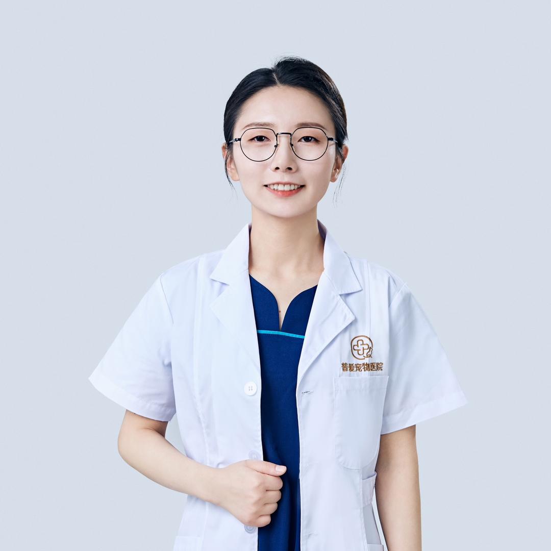 Vet小张是宠物医生