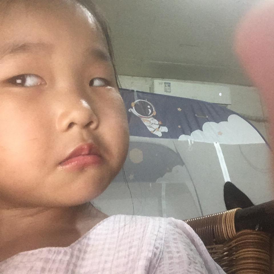 桐