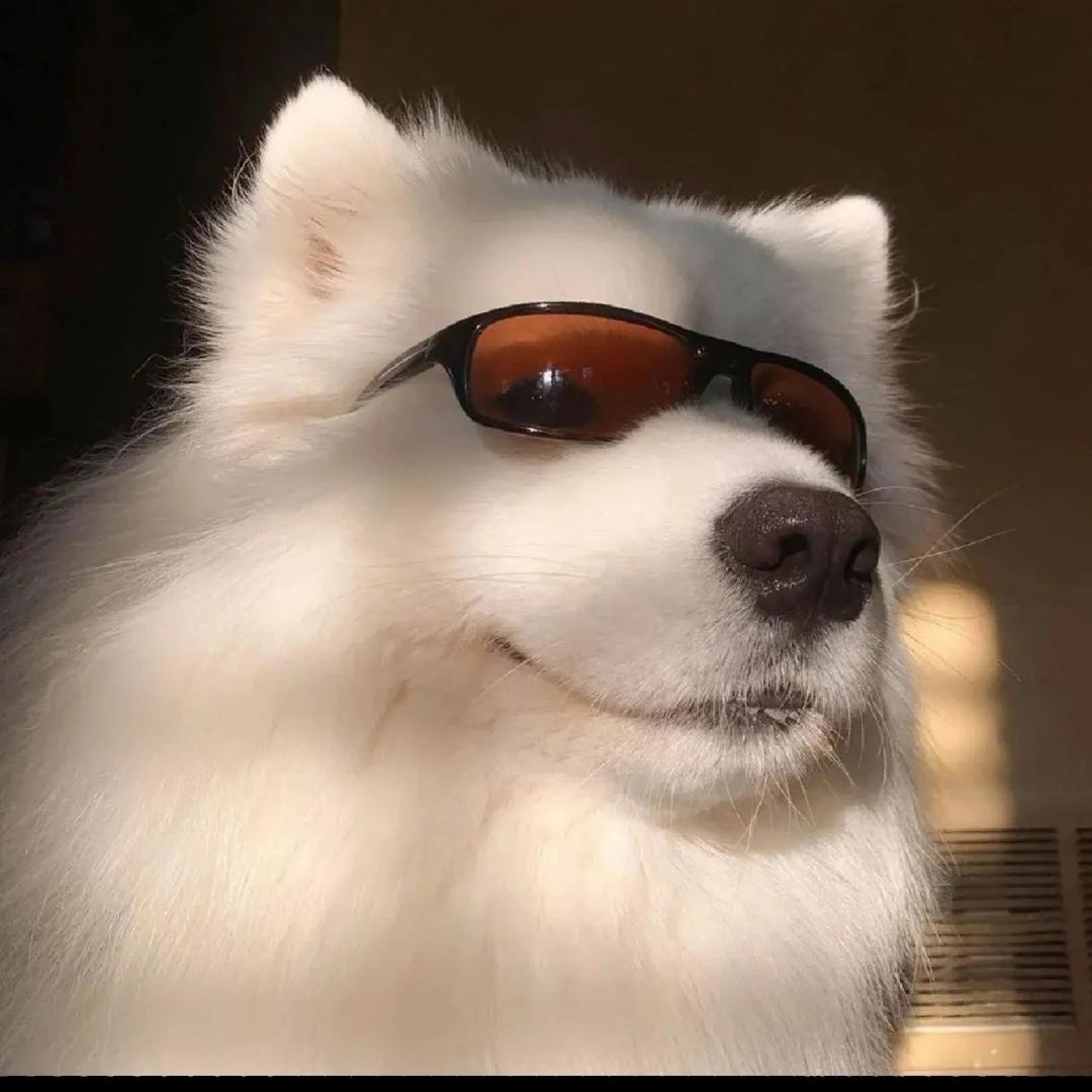 时析