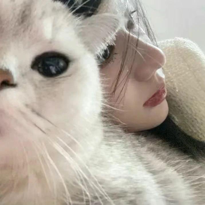 鸩·