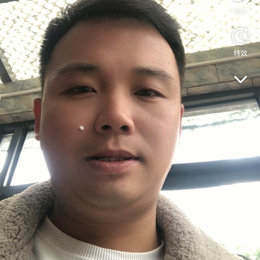 龙龙