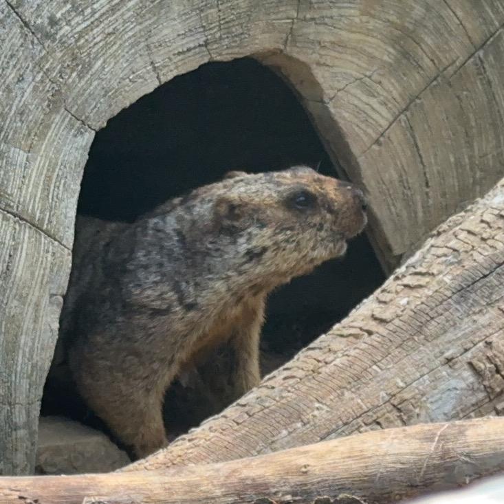 欧涅