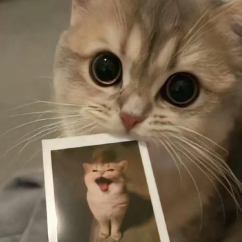！