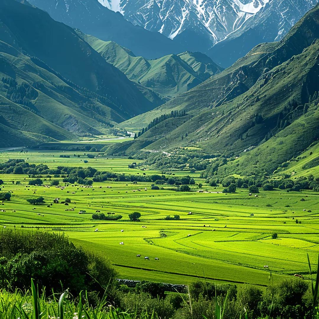 ㅤㅤㅤㅤㅤ   ㅤㅤㅤㅤ