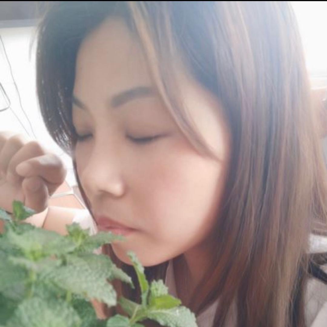 小海豚