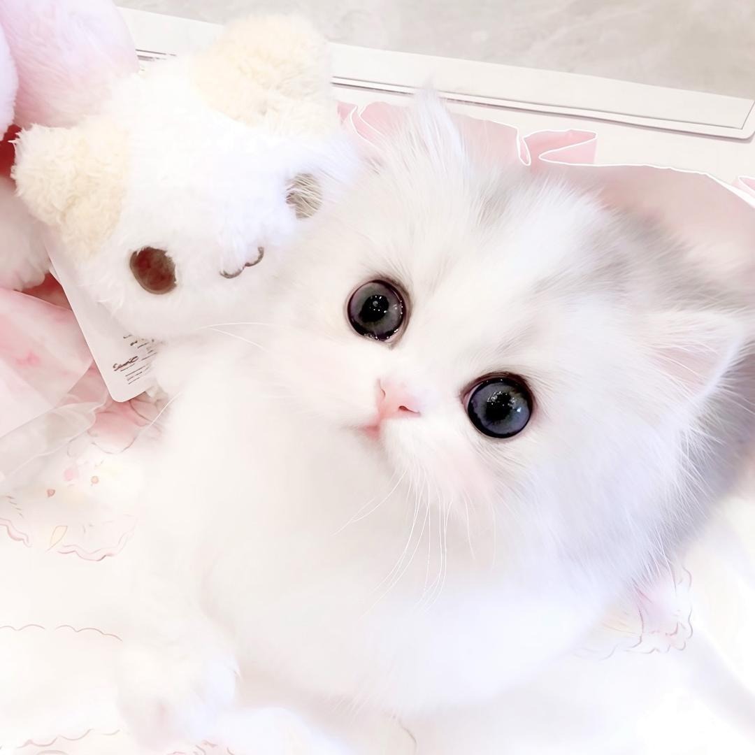 小云朵