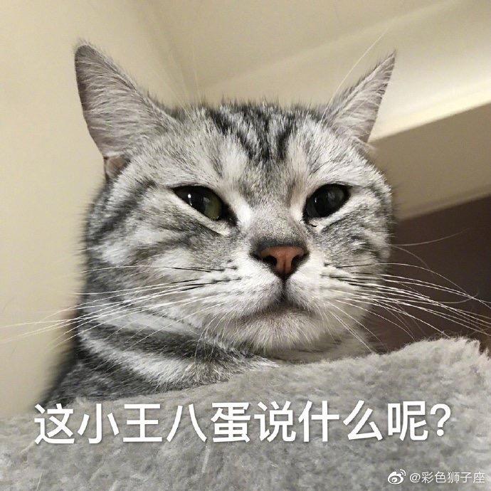 用PP都能思考