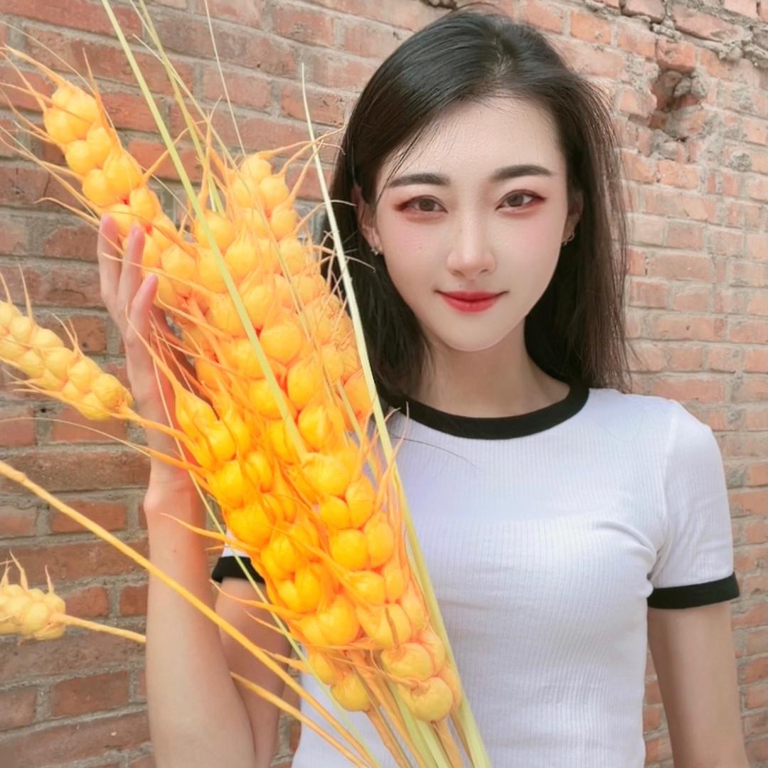 金麦麦