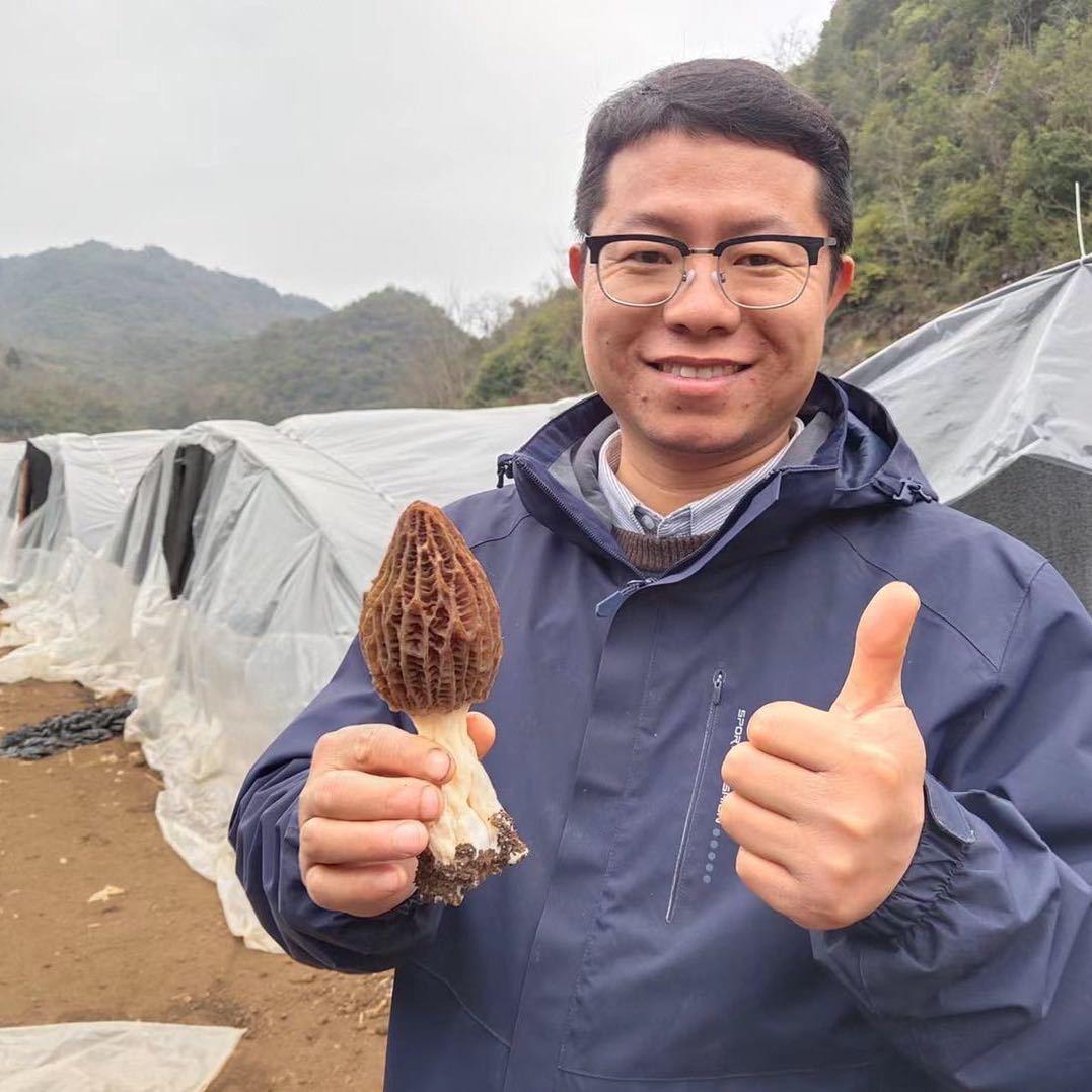 小龙哥种菇日记