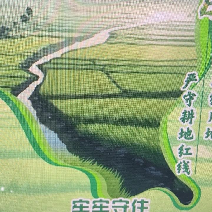 田管家-永久基本农田查询