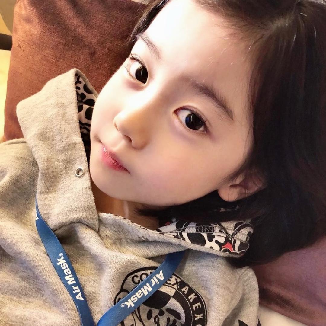 愤怒的甲鱼