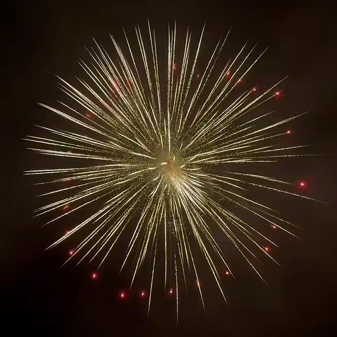 烟花娜娜