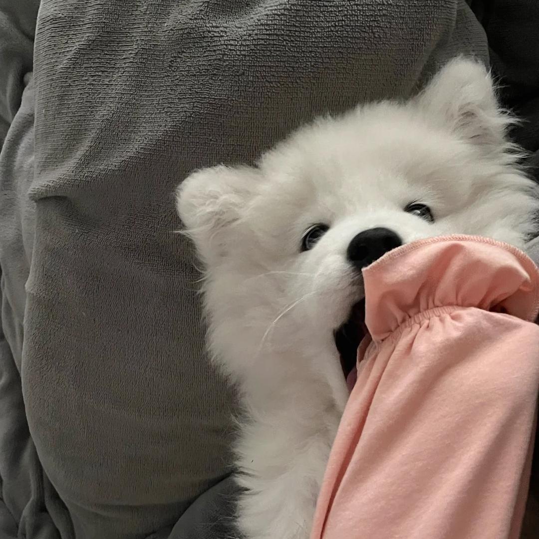 刘清筱_
