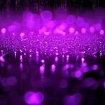 ☔️💜雨滴🫧🫧🫧（冬眠)