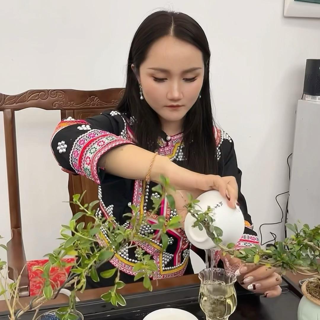 小燕《叙韵茶业》