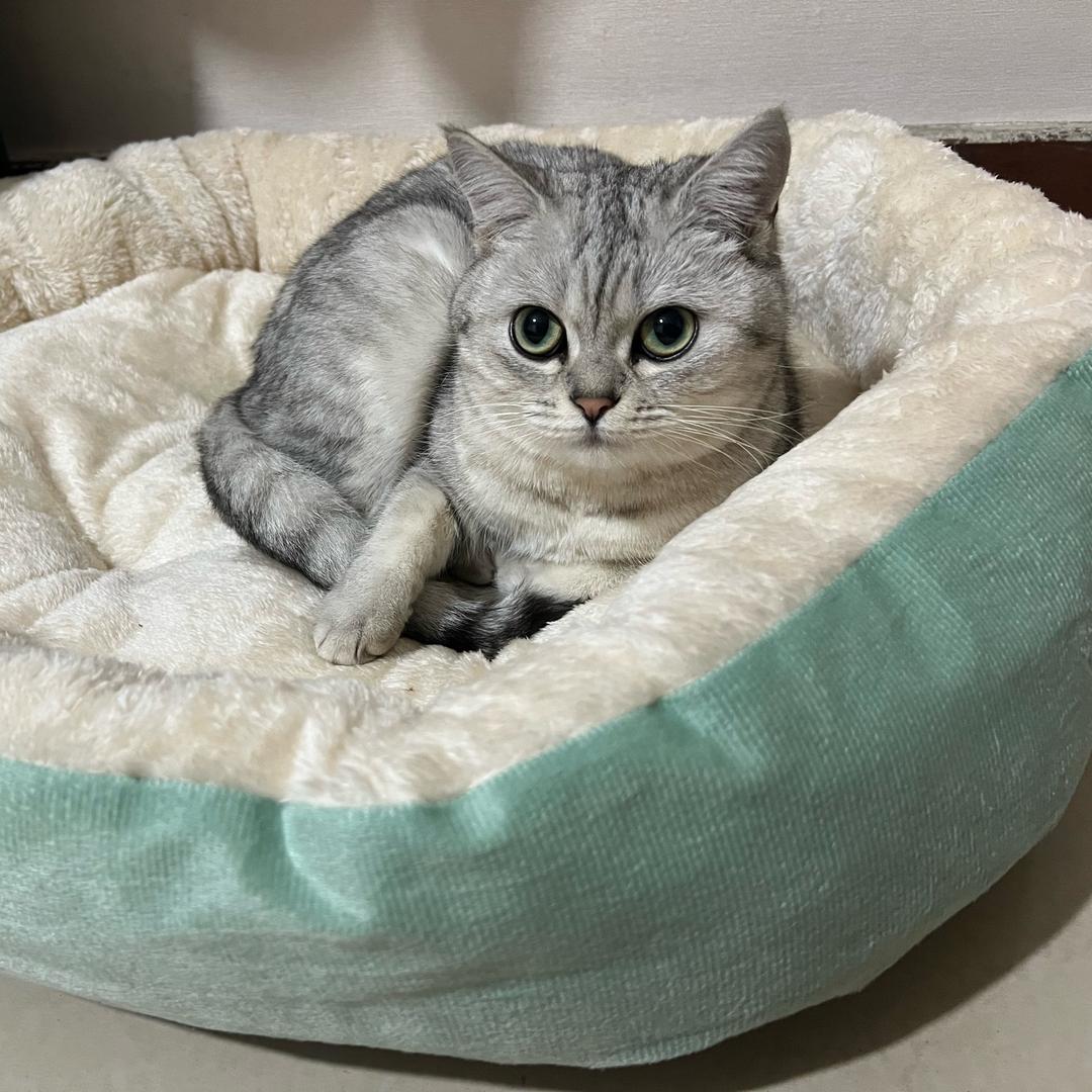 刘浩宇1258935225544