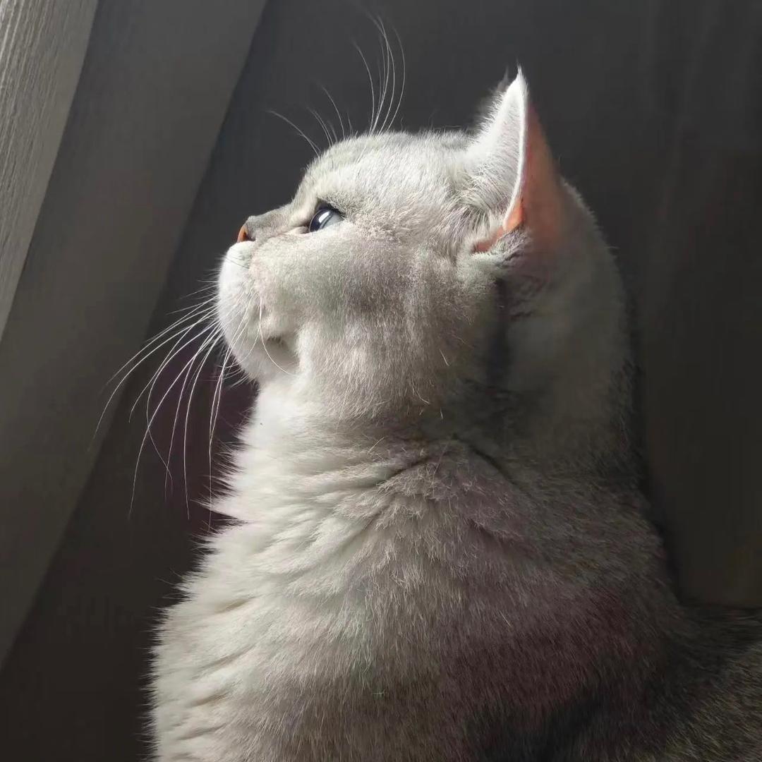 ᨶ႒释💞怀᭄ཽ࿆