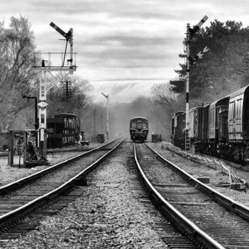 大 淼⁵²⁶⁹🚶🏻‍♂️