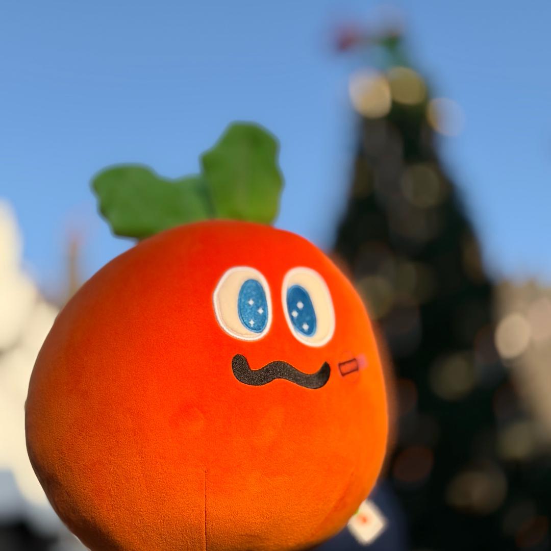 比阿信小二十岁的小莫🥕