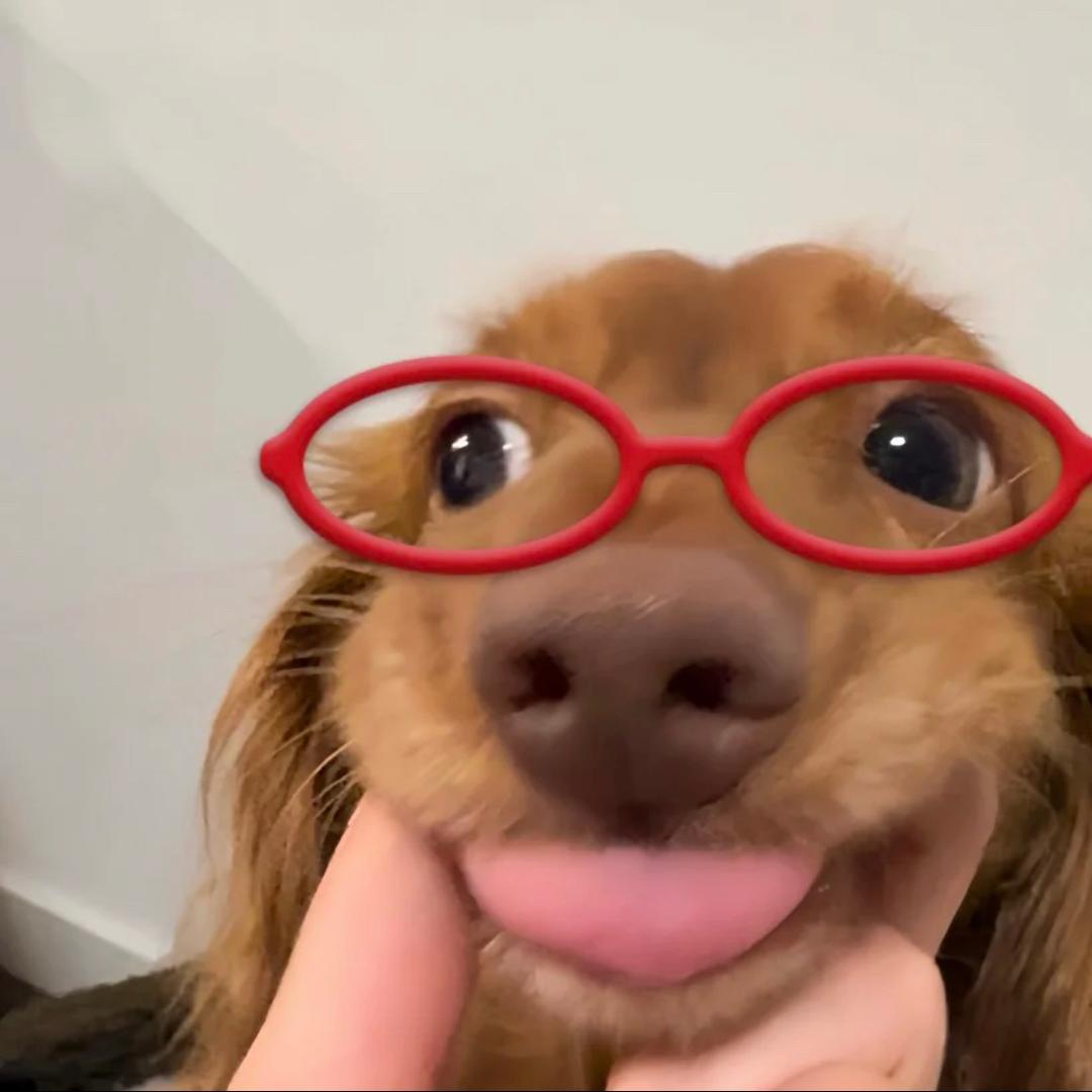 桃桃啊