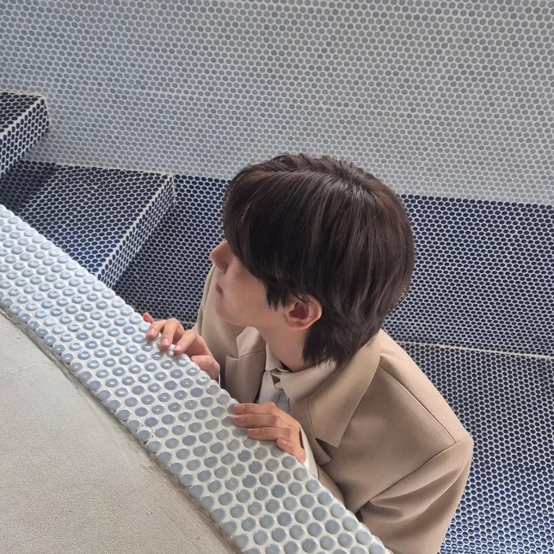 贤屿曲奇（见过伯贤版）