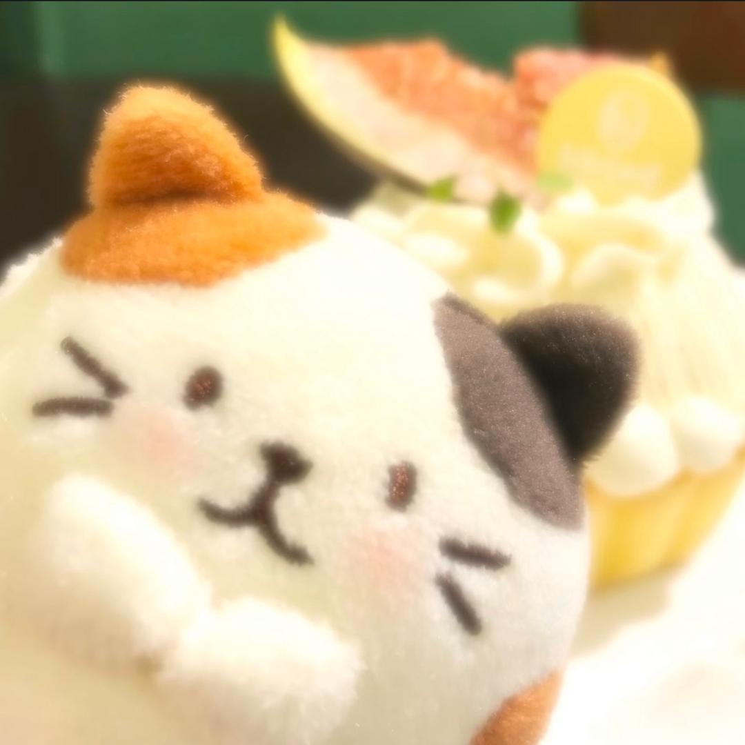 杜伽