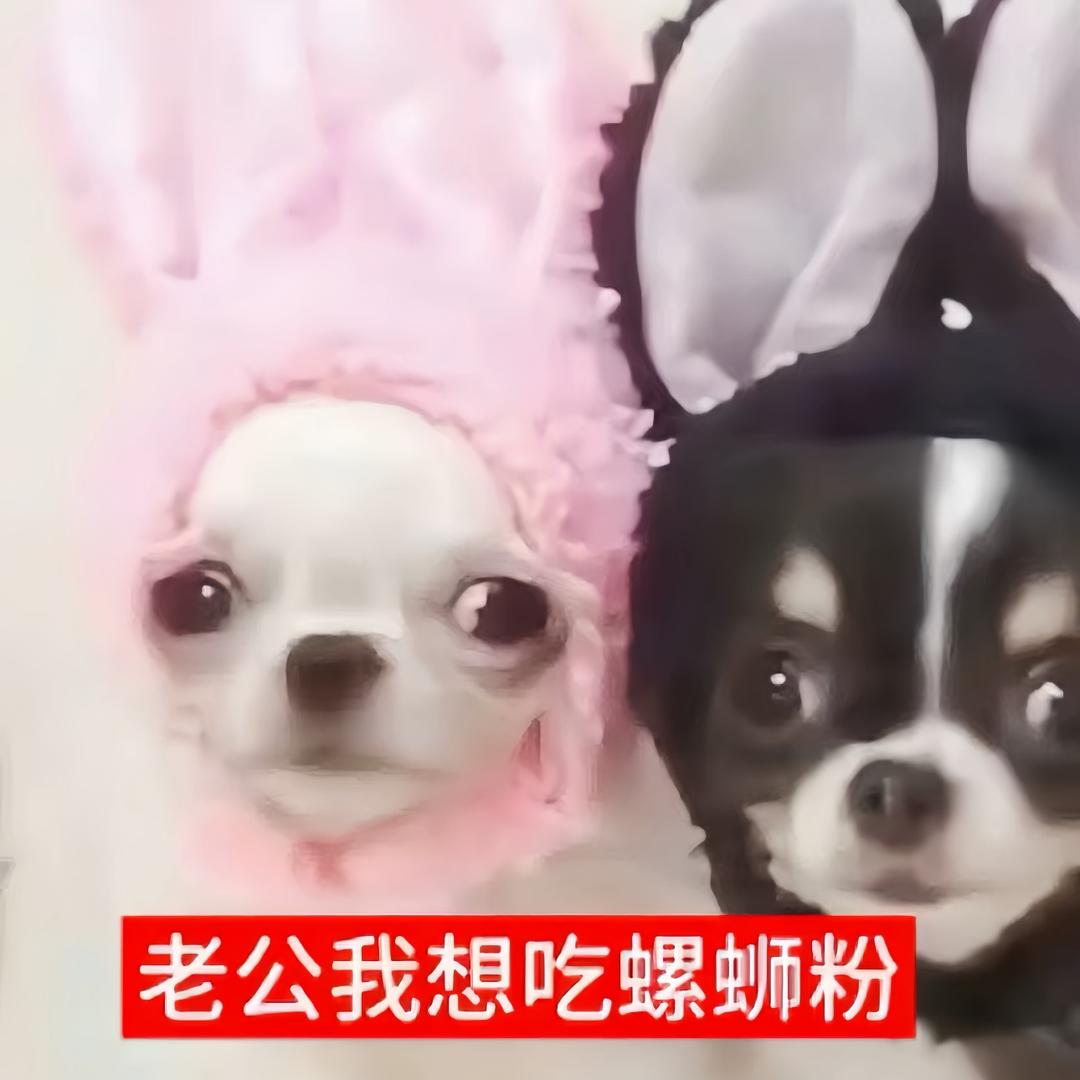yy