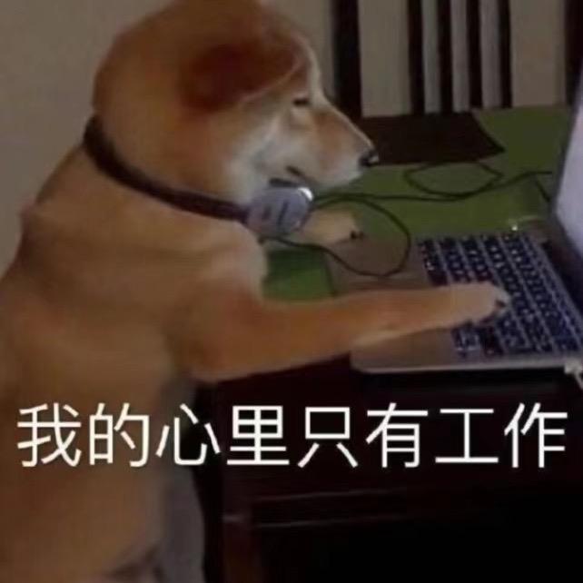 兔！！！！！！！！！！！！！！！