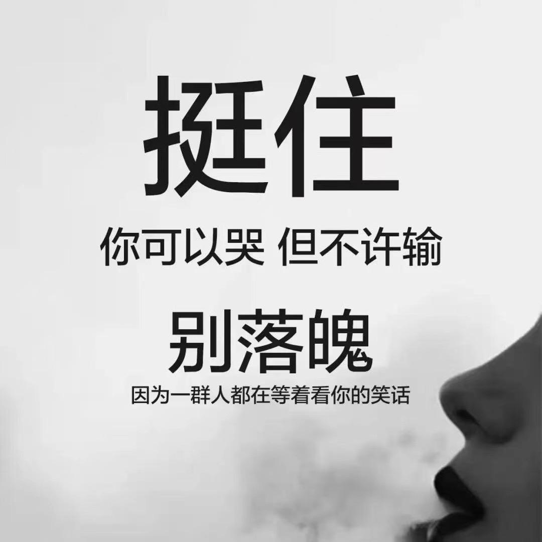 会写字的猪🐷
