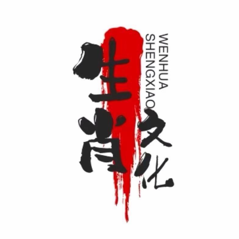 文轩先生.