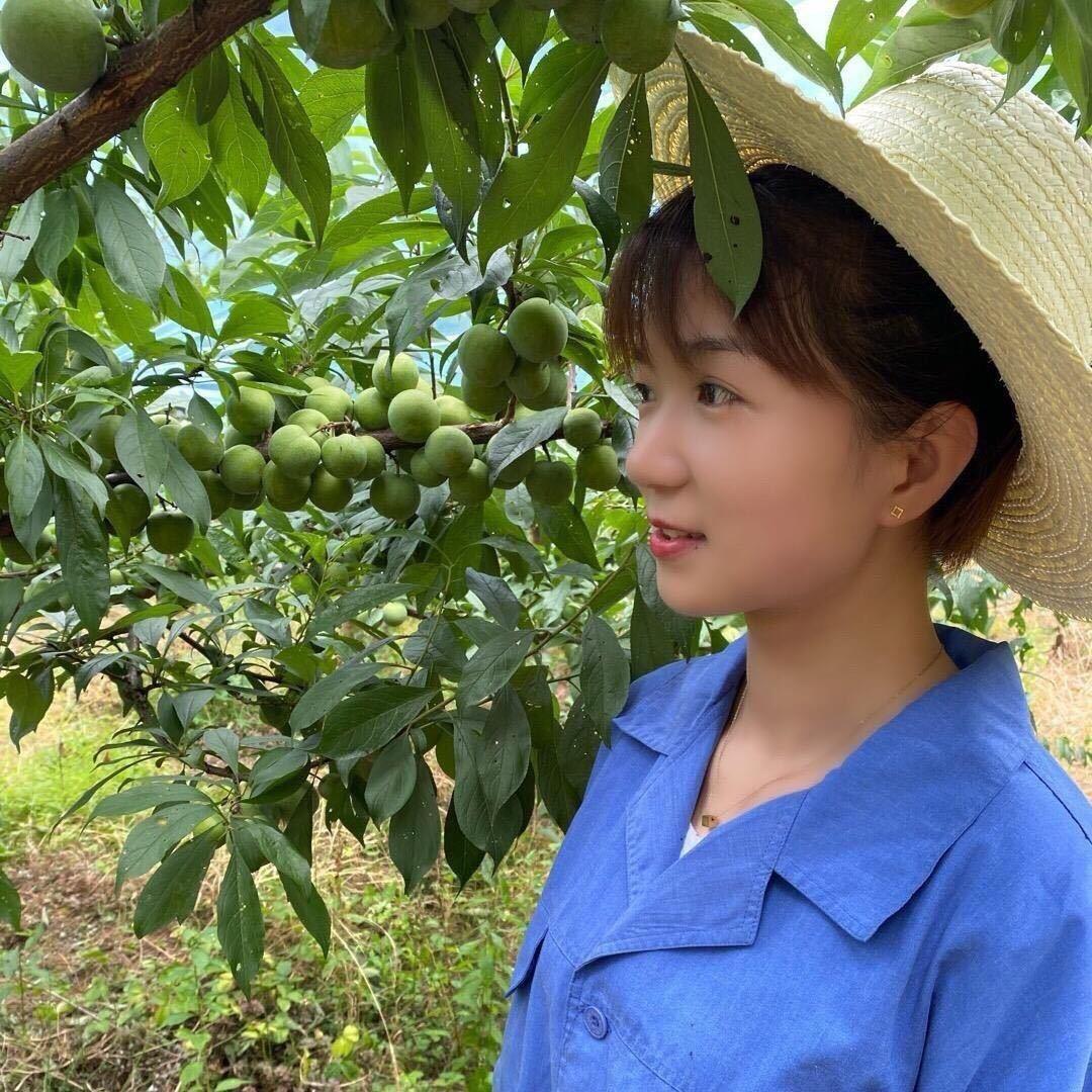 小林妹儿果园