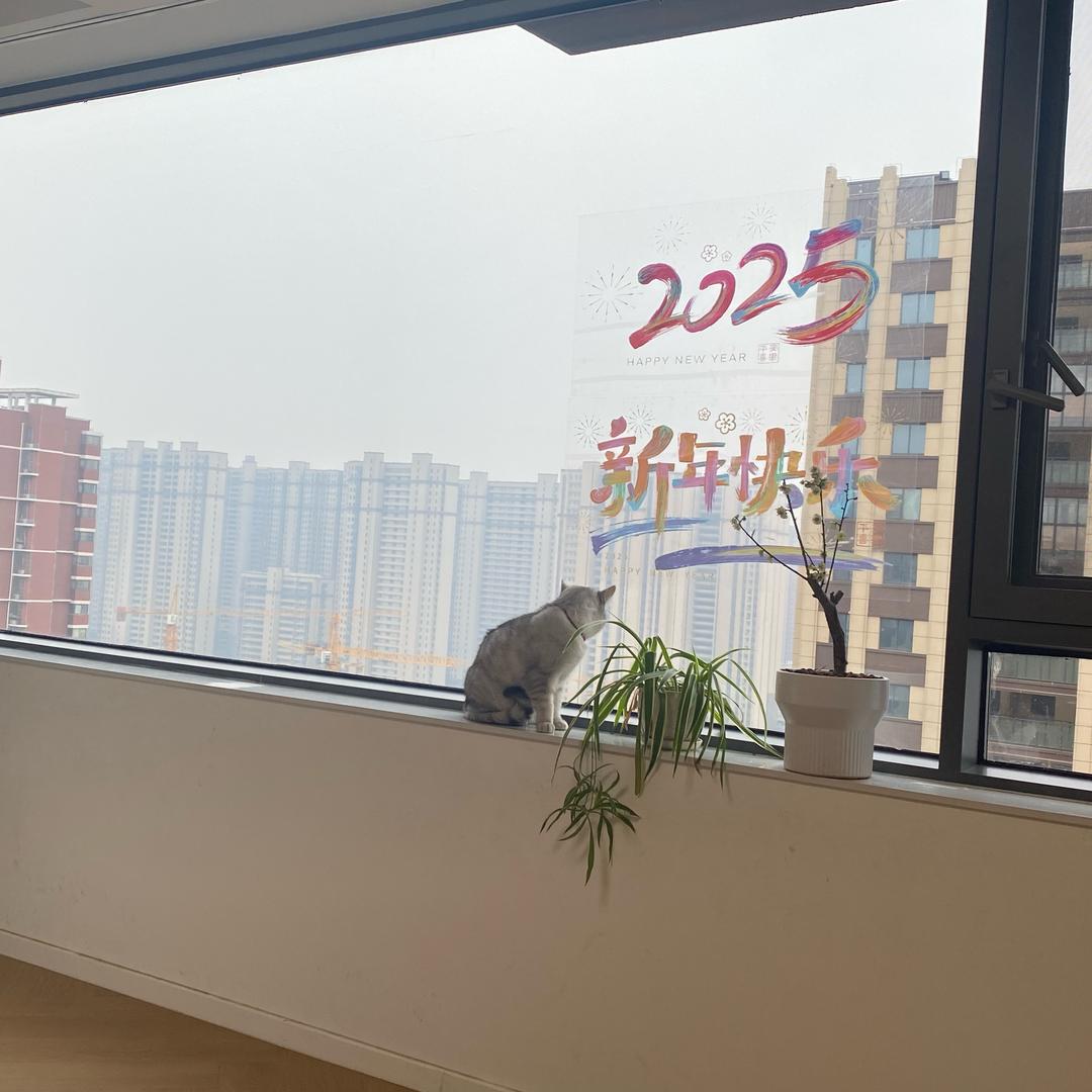 A-🇨🇳 蚌埠系统门窗批发厂家 -