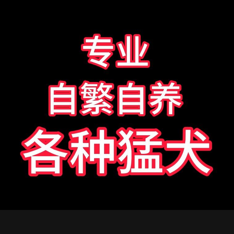 猛犬基地