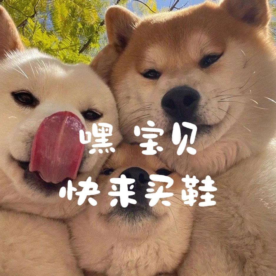 甜甜崽的鞋铺