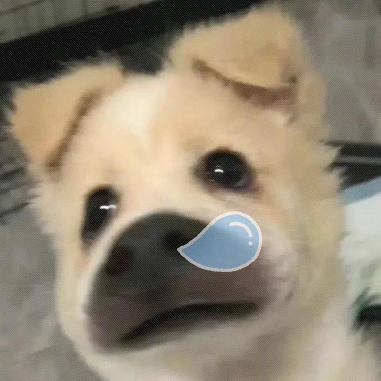 无效恋爱💘