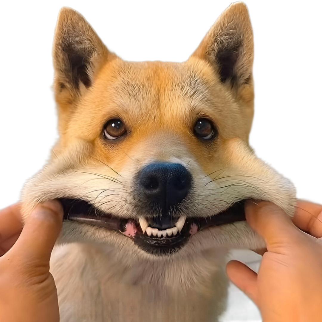 浅笑秀儿