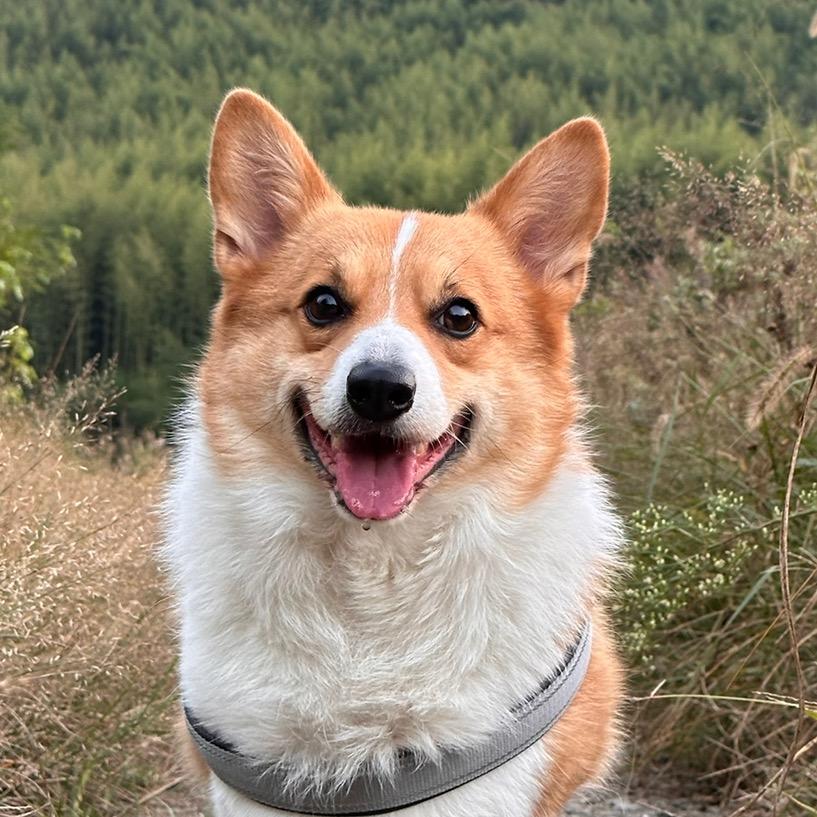 薯仔🥔和纳豆🫘