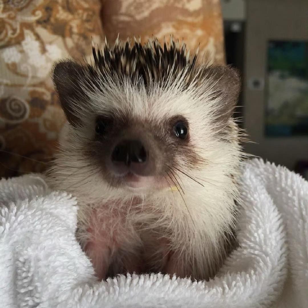 那裡已經沒有人了