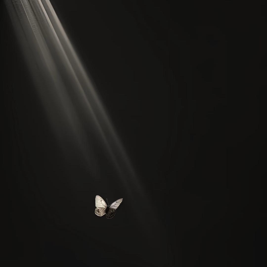 书纪～🖤