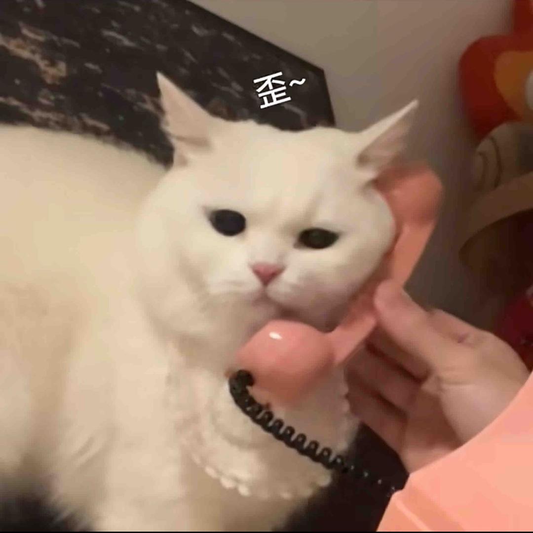 ✨闪闪发光的轩轩呐